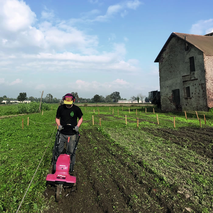 indaco della muzzetta