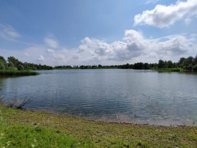 vizzolo oasi concorso