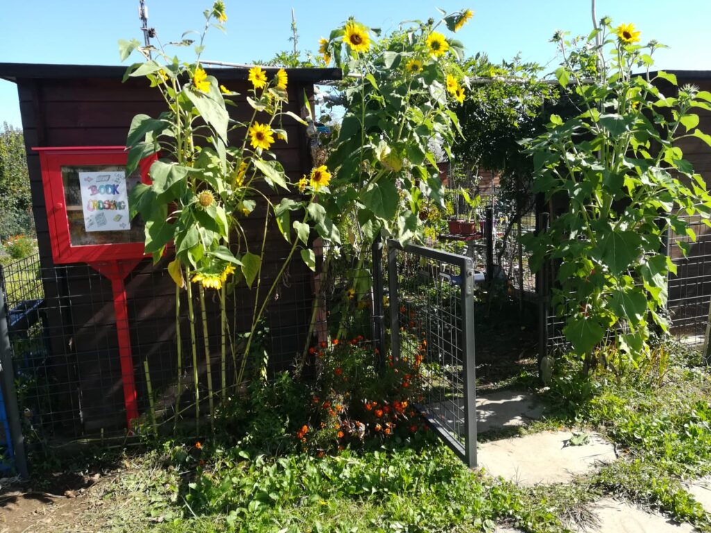 bookcrossing libri orti urbani