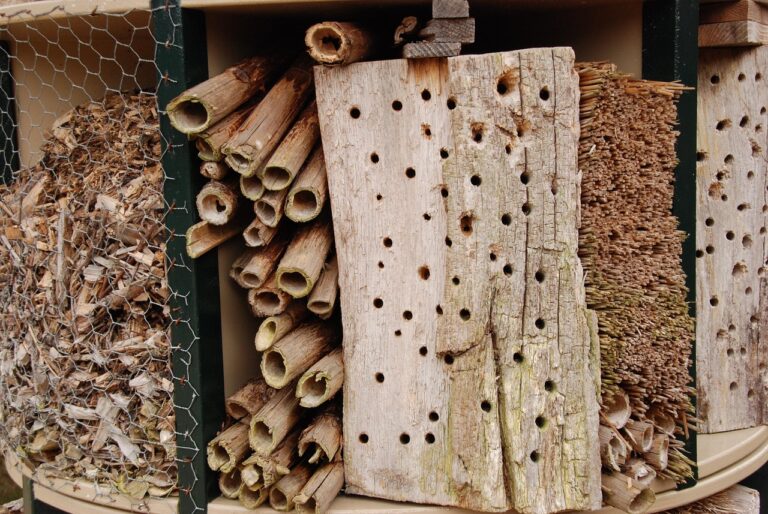bug hotel