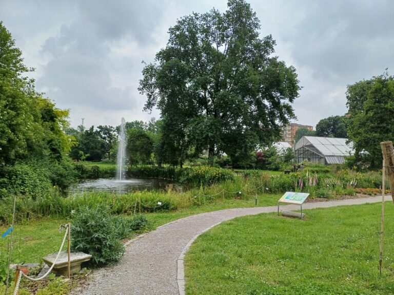 giraparchi Città studi