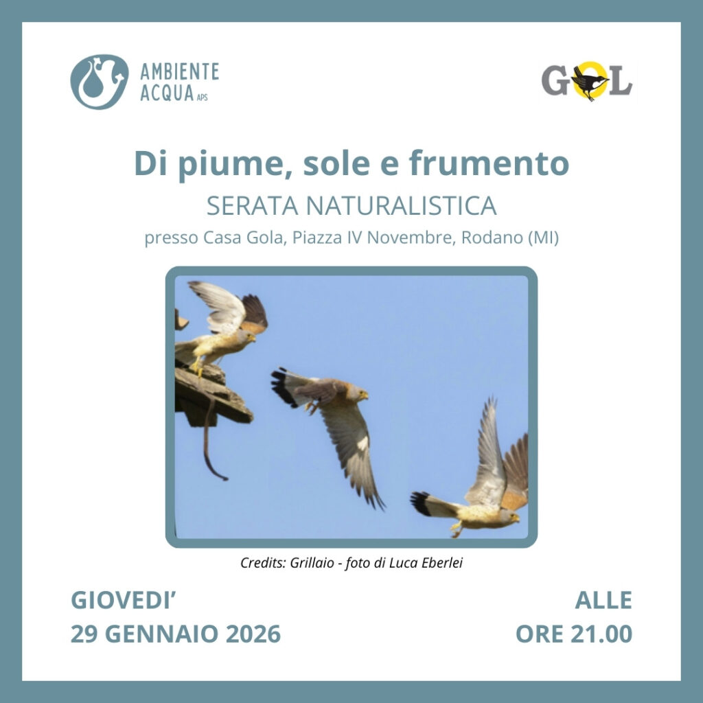 SERATE NATURALISTICHE 2026