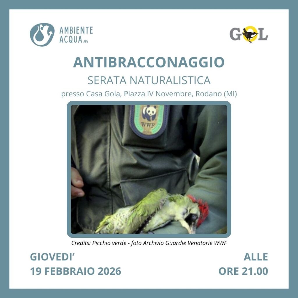 GOL antibracconaggio